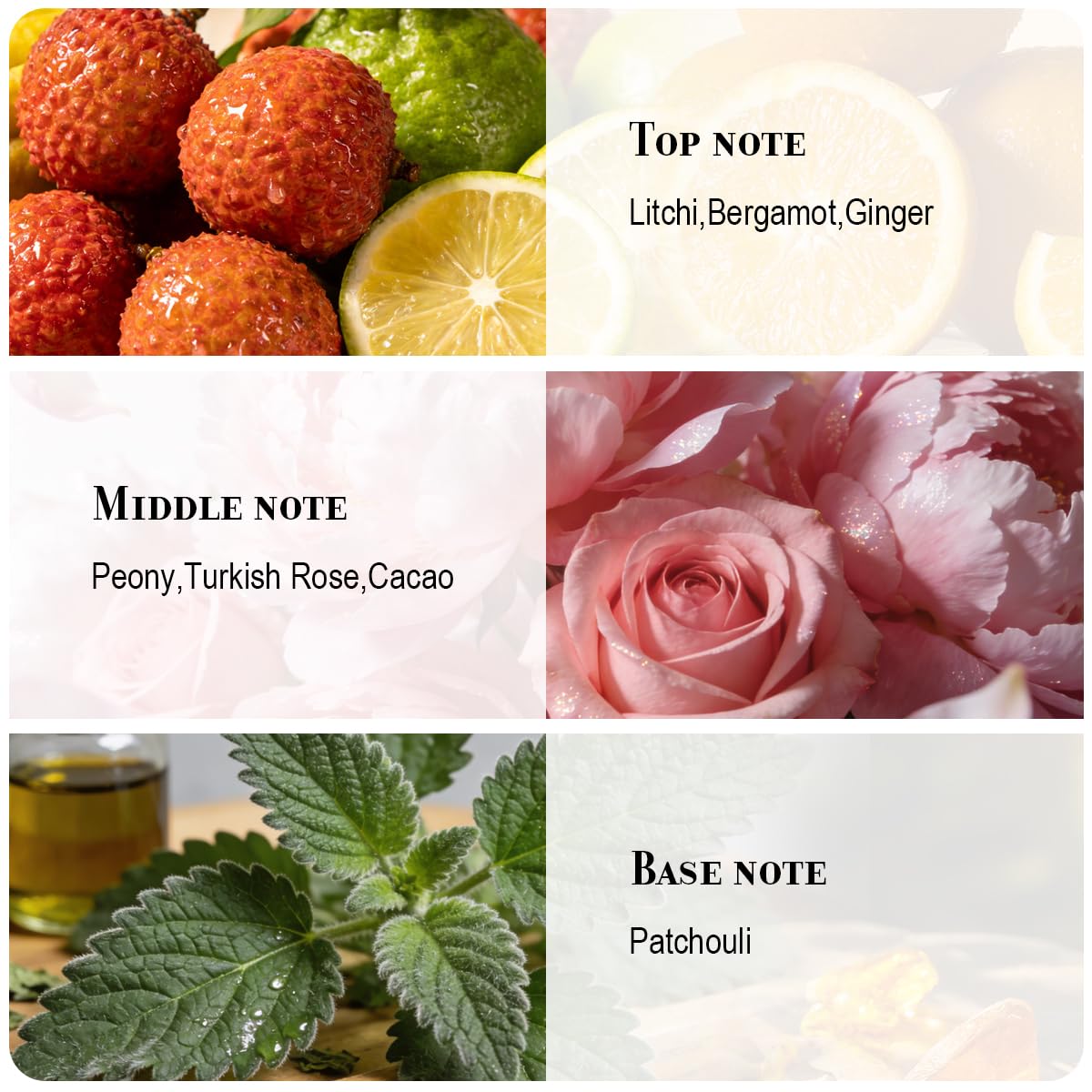 Eau de Parfum for Women 50ml Y22131