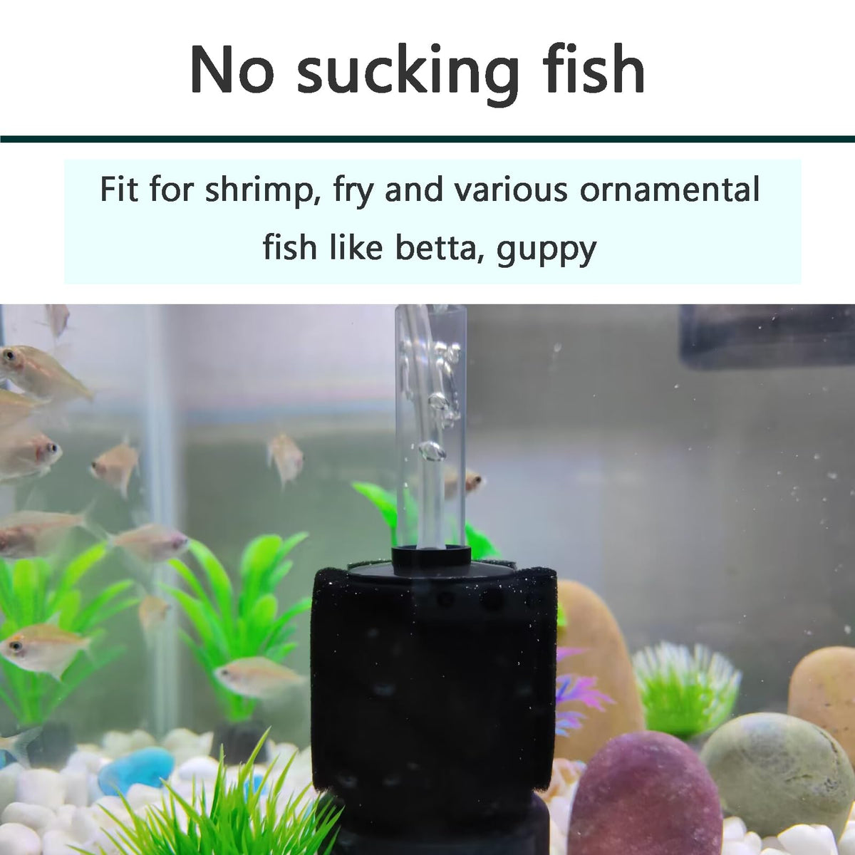 Aquarium Air Powered Sponge Filter with Airline Tubing T597396