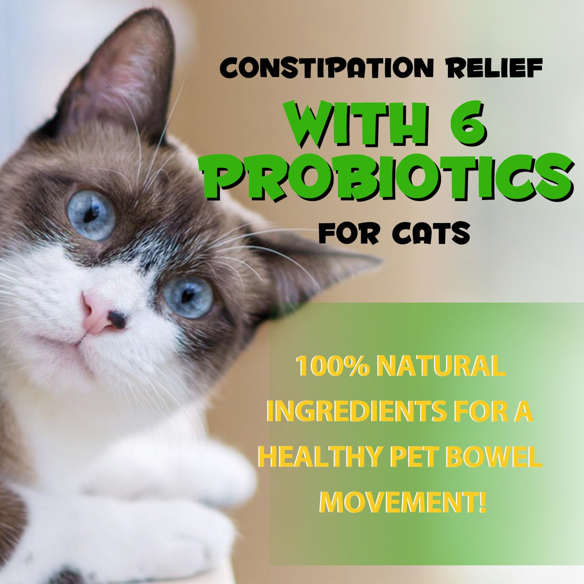 Cat Constipation Relief 2 fl.oz U481