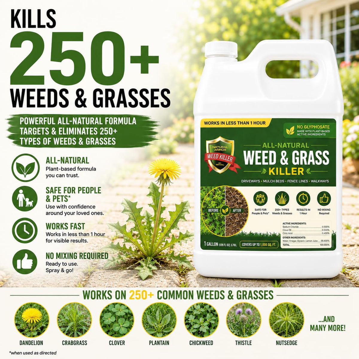 Weed & Grass Killer 1 Gallon with Sprayer X1488