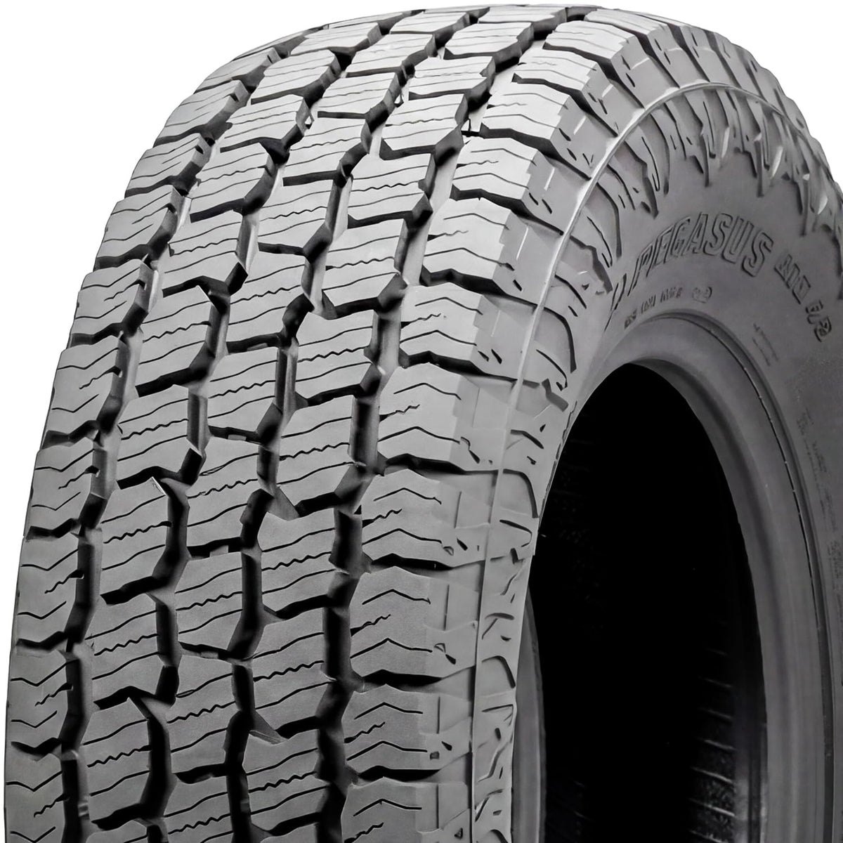 275/55R20 117T XL All Terrain Tire L729899