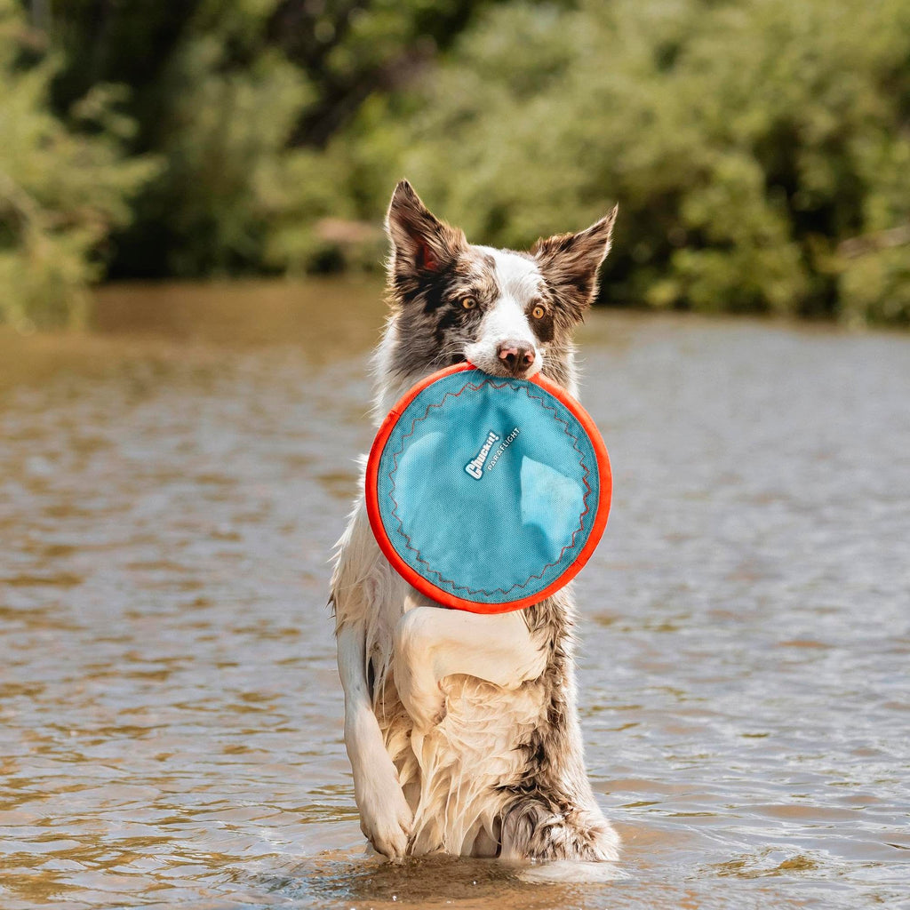 Flying Disc Dog Toy Large A55727