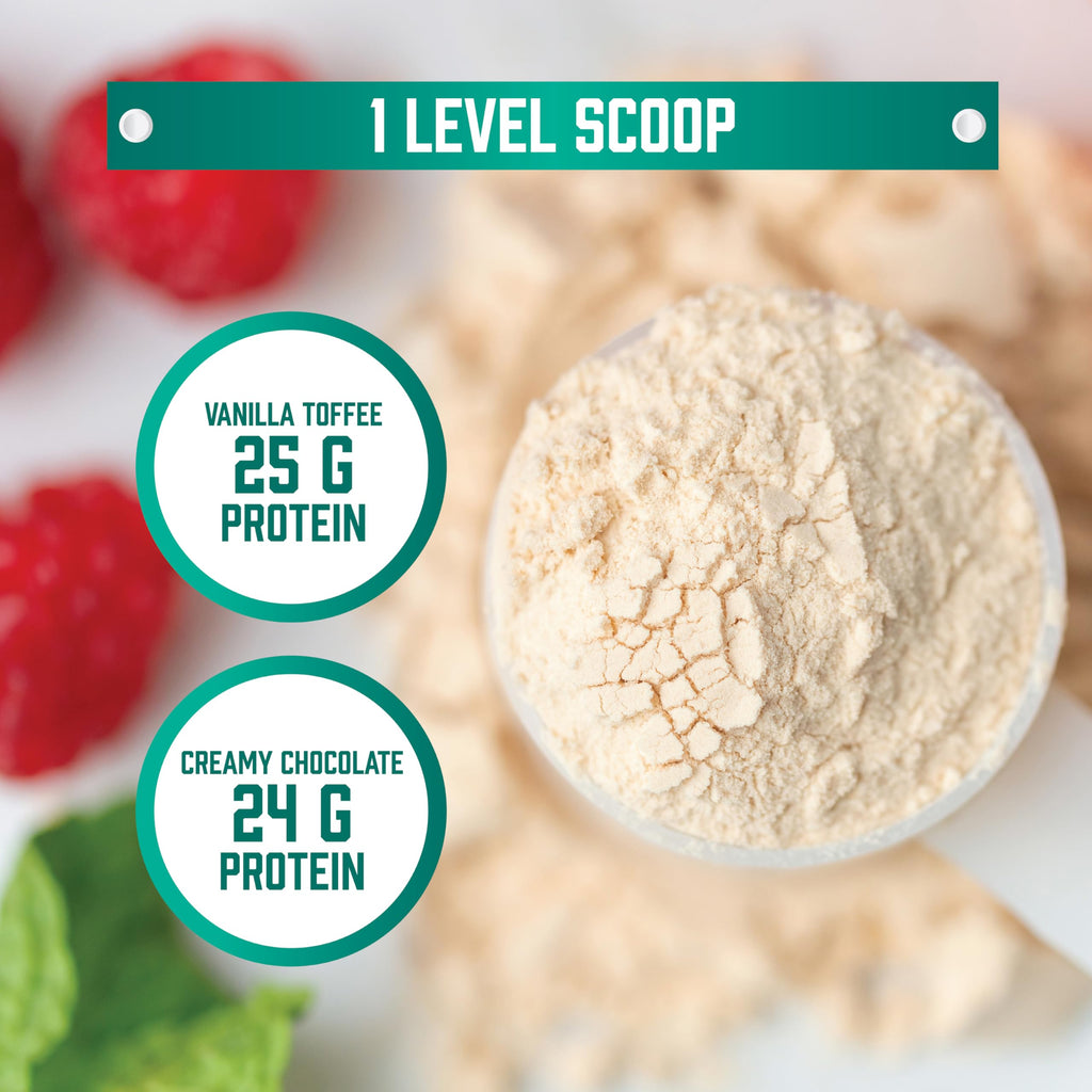 Pea Protein 25 g With BCAAs Vanilla Toffee 2 lbs C5171