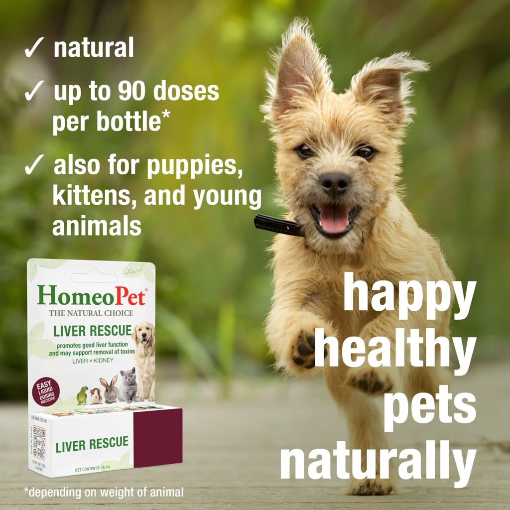 Liver Rescue Supplement for Dogs and Cats 15 Milliliters F682343