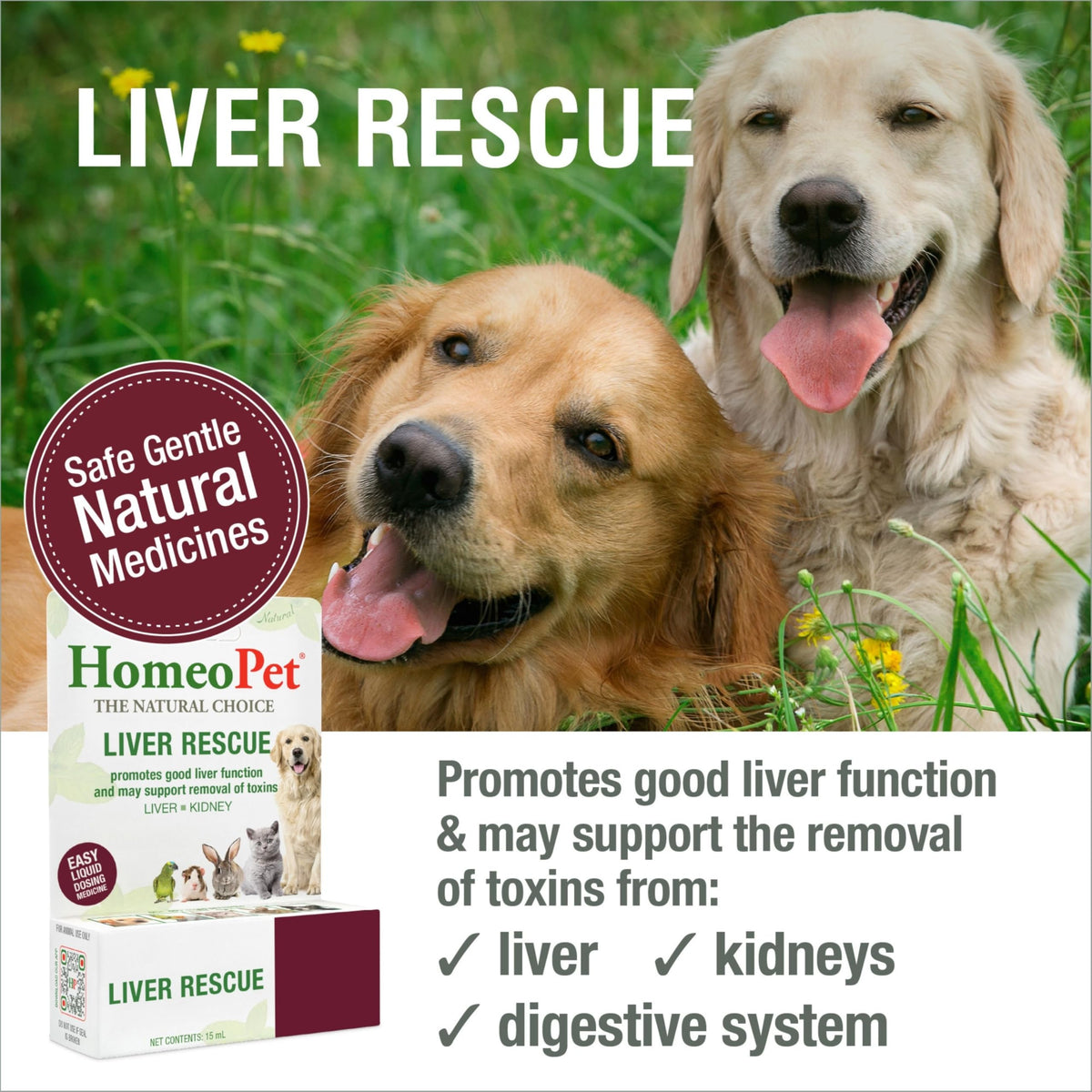 Liver Rescue Supplement for Dogs and Cats 15 Milliliters F682343