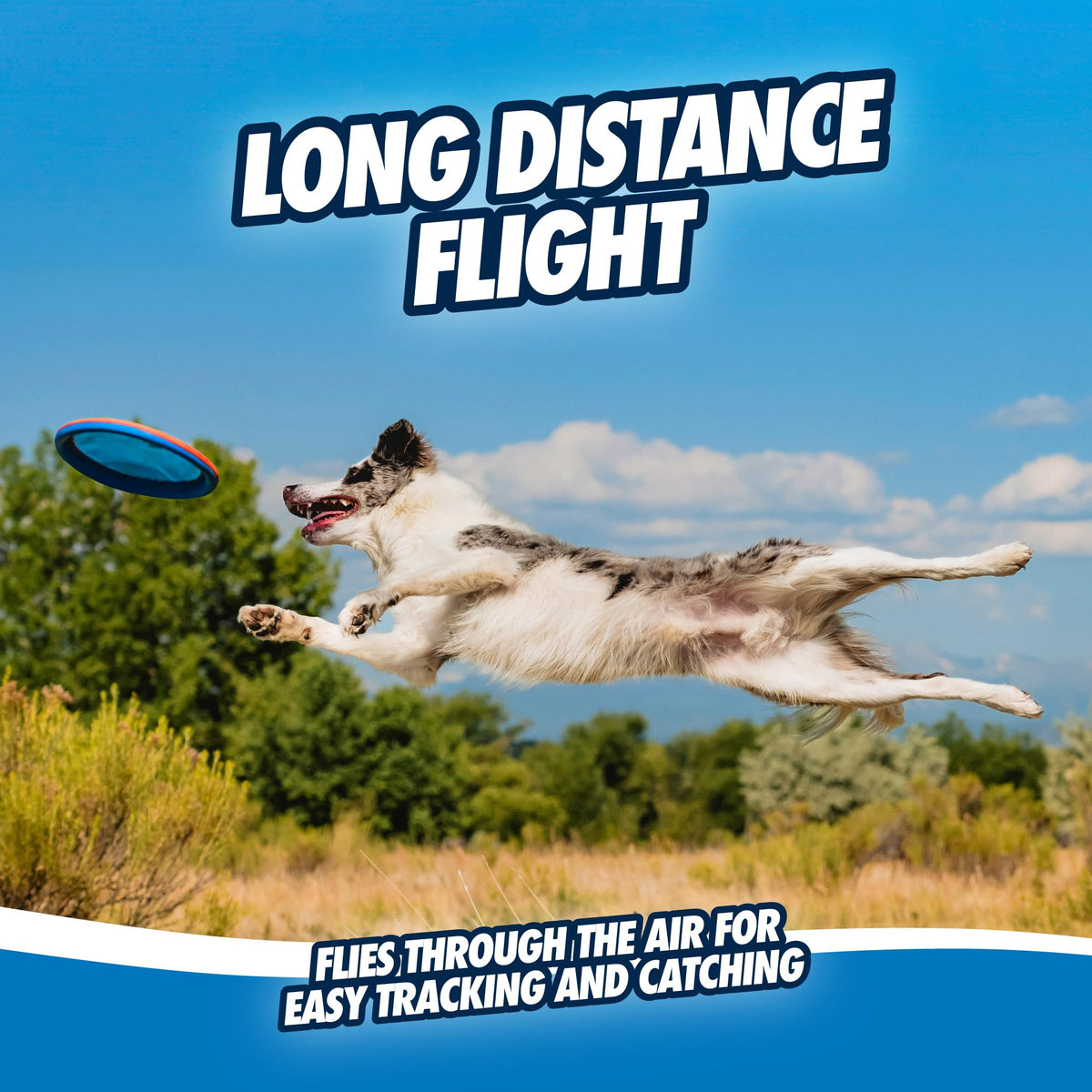 Flying Disc Dog Toy Large A55727