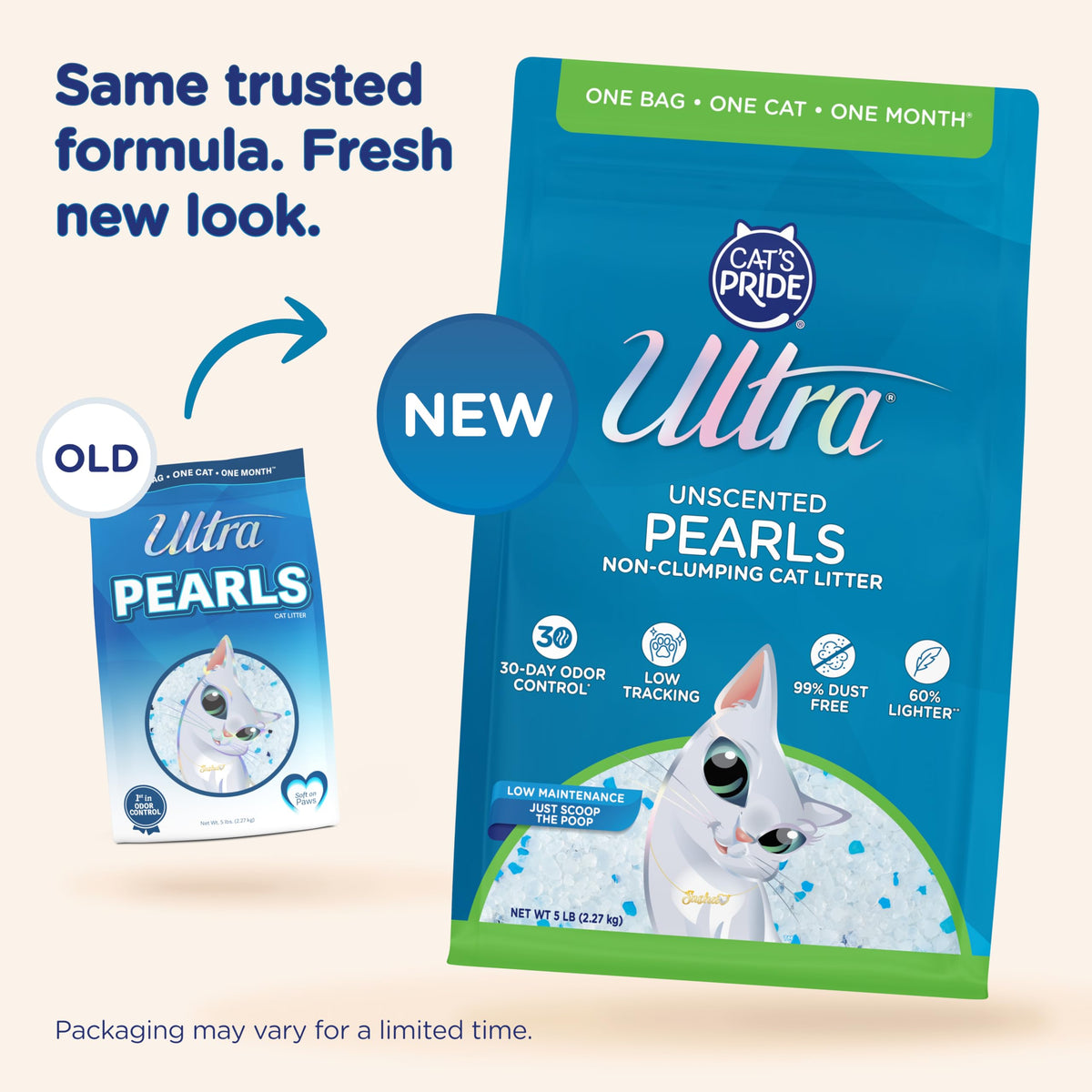 Cat Litter - 99.9% Dust Free, Low Tracking, Fragrance Free - 5 Lbs C375709