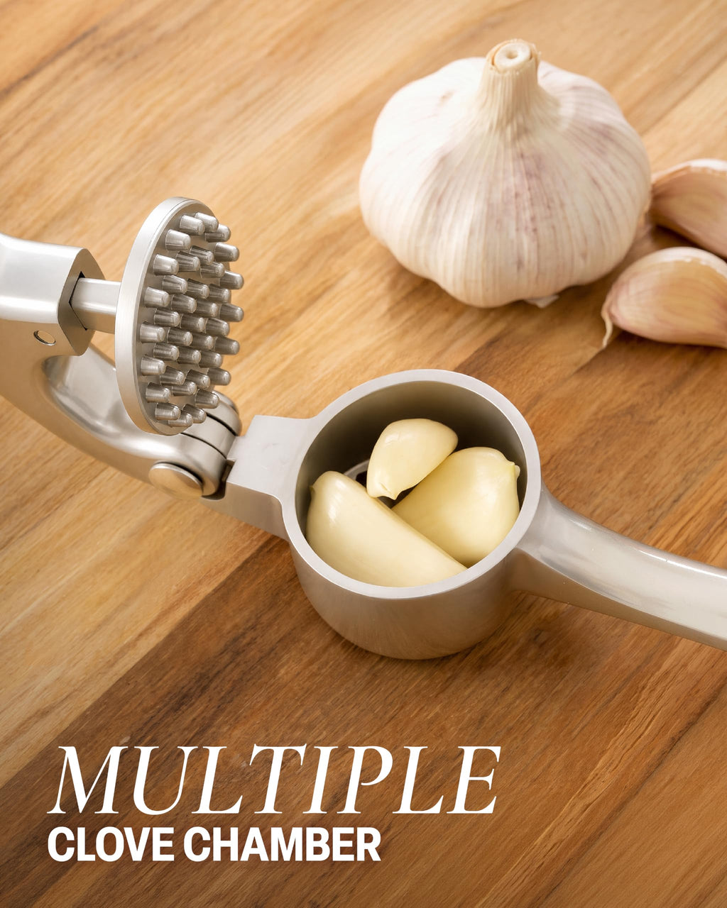 Garlic Press Set with Silicone Peeler & Brush F1550