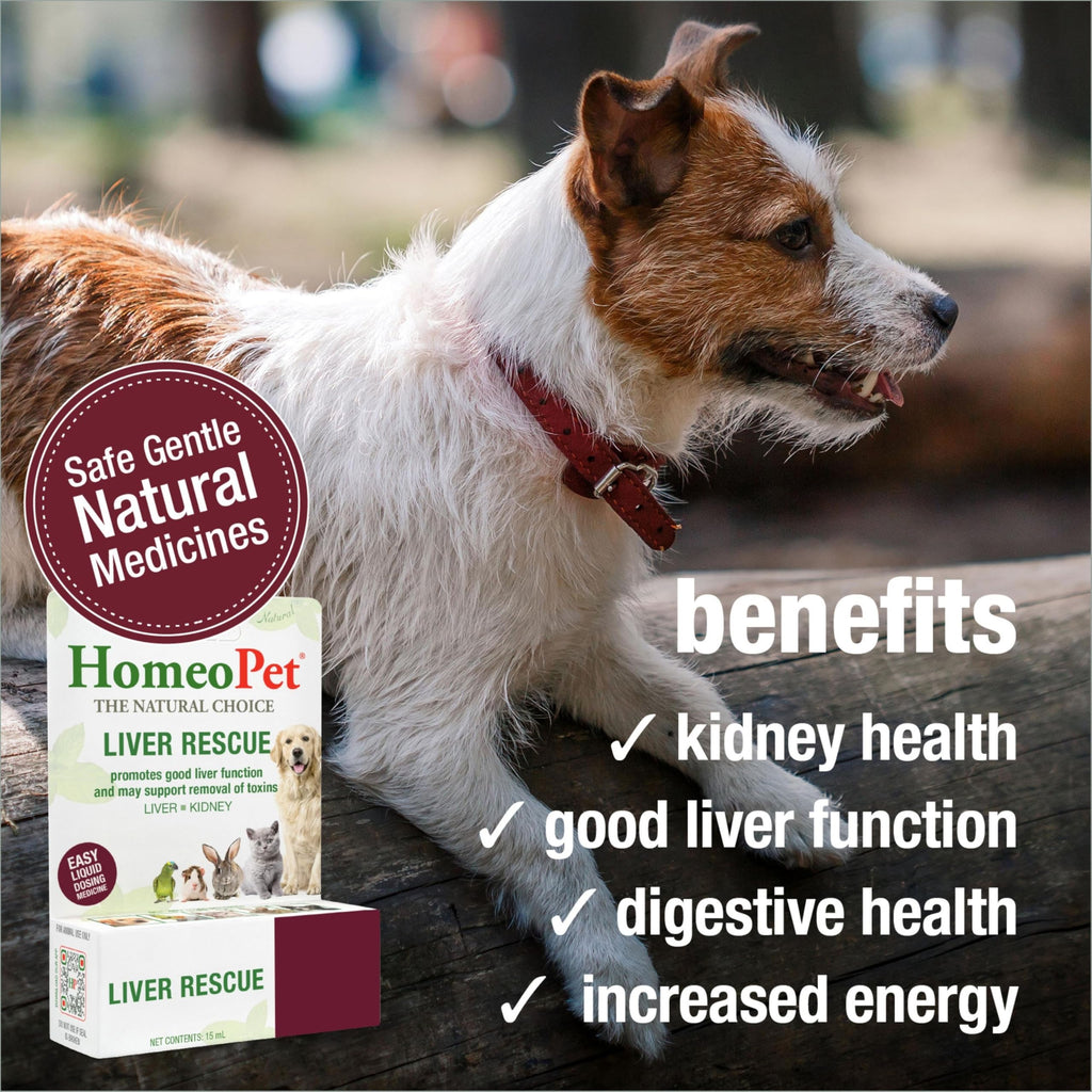 Liver Rescue Supplement for Dogs and Cats 15 Milliliters F682343